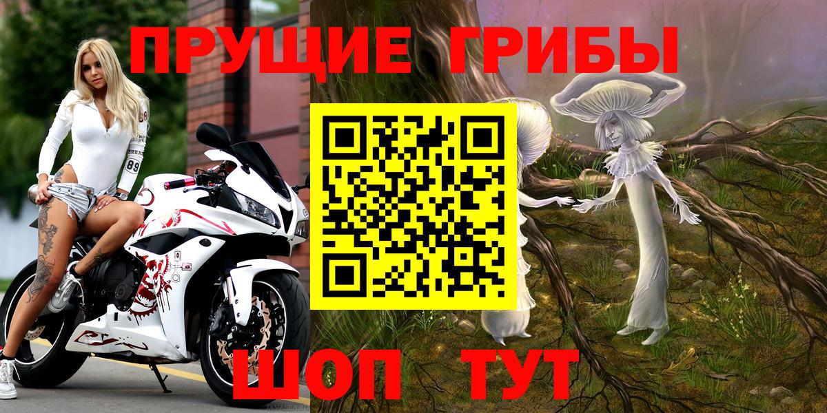 Галлюциногенные грибы Magic Shrooms  Галлюциногенные грибы MAGIC MUSHROOMS  Знаменск  Вход с VPN 