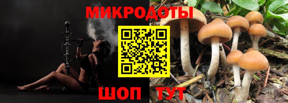 Галлюциногенные грибы Magic Shrooms Знаменск